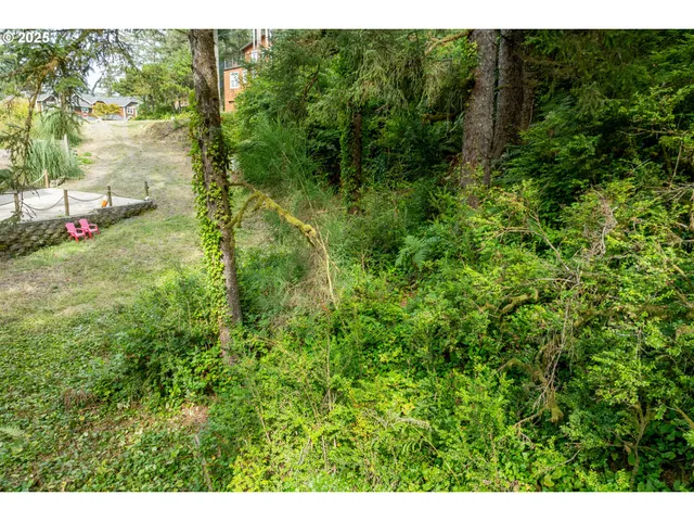 a view of a yard with plants and a bench