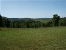 616 King Road Tazewell, TN 37879 - Photo 17 of 25 17