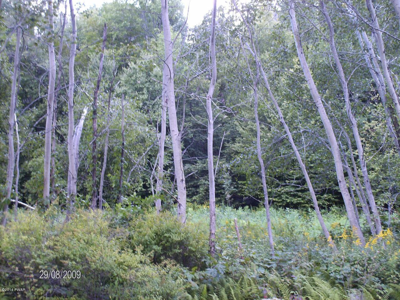 Lot 2 Butternut Road Newfoundland, PA 18445 - Photo 1 of 1