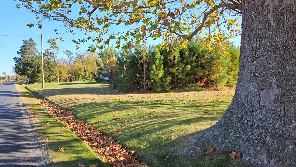 34 A Cherrystone Road, Unit 34A Cape Charles, VA 23310 - Photo 6 of 6