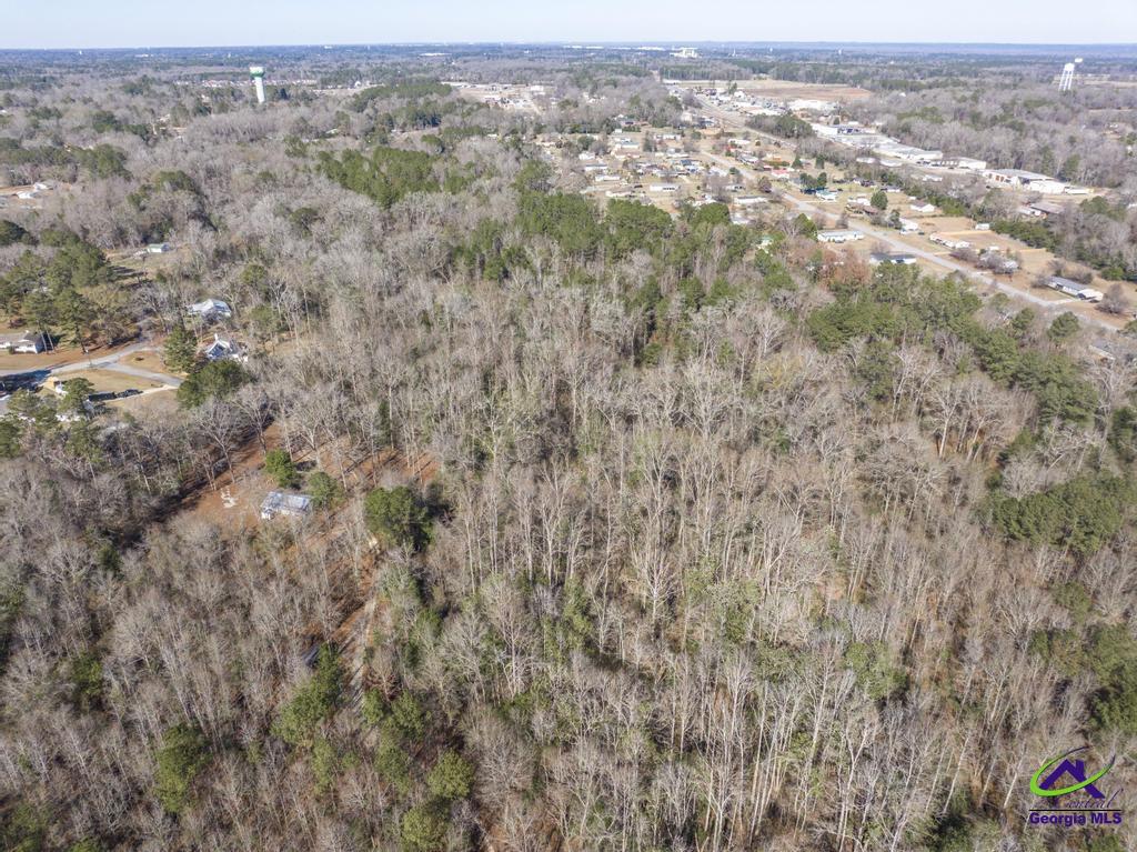 42.5 Old Perry Road Hawkinsville, GA 31036 - Photo 13 of 17