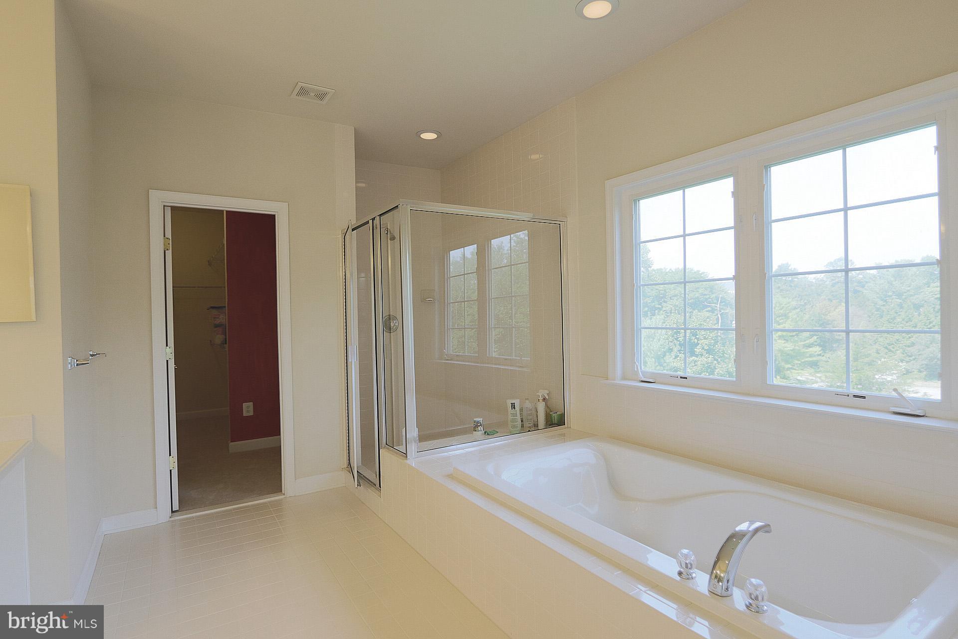 23001 Frederick Road Clarksburg, MD 20871 - Photo 22 of 29 Bath (Master)