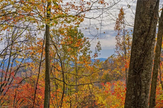 $78,315 | 1 Mayito Lane, Mouth Of Wilson, VA 24363