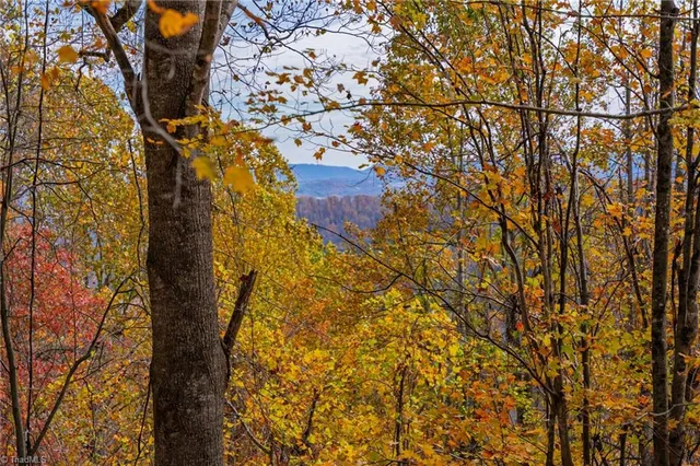 $78,315 | 1 Mayito Lane, Mouth Of Wilson, VA 24363