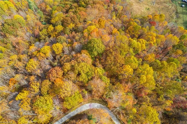 $78,315 | 1 Mayito Lane, Mouth Of Wilson, VA 24363