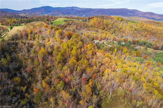 $78,315 | 1 Mayito Lane, Mouth Of Wilson, VA 24363