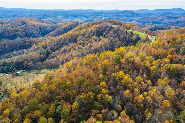 $78,315 | 1 Mayito Lane, Mouth Of Wilson, VA 24363