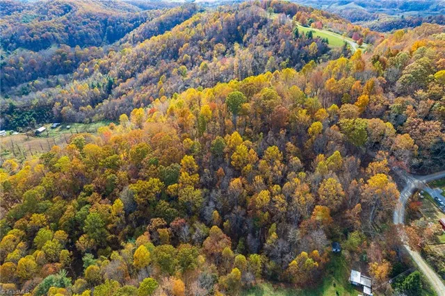 $78,315 | 1 Mayito Lane, Mouth Of Wilson, VA 24363