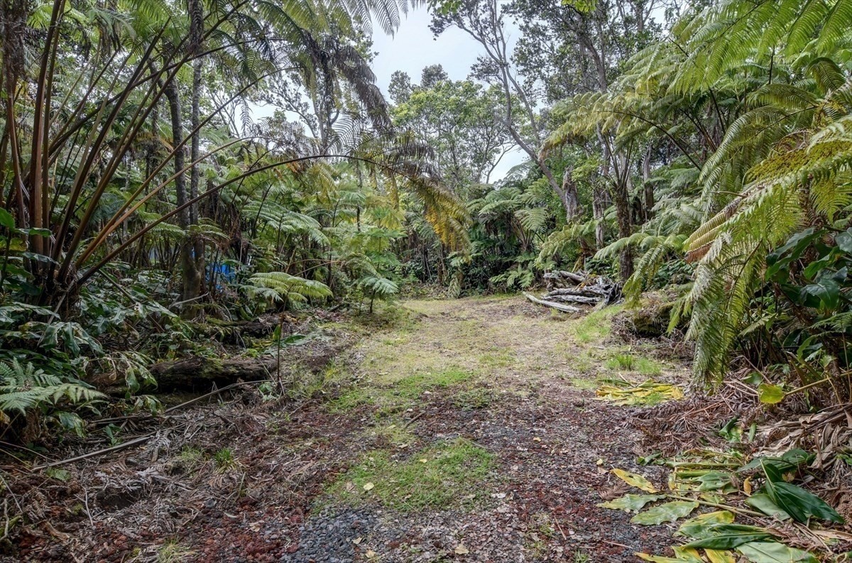 19-4269 Haunani Road Volcano, HI 96785 - Photo 1 of 18 Gallery Image 1