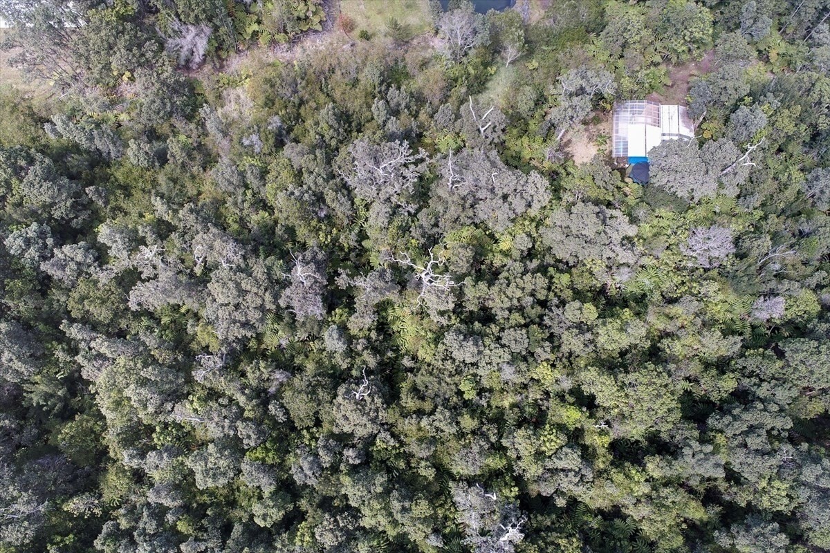 19-4269 Haunani Road Volcano, HI 96785 - Photo 4 of 18 Gallery Image 4