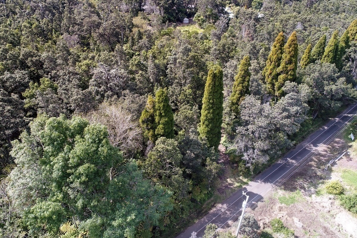 19-4269 Haunani Road Volcano, HI 96785 - Photo 7 of 18 Gallery Image 7