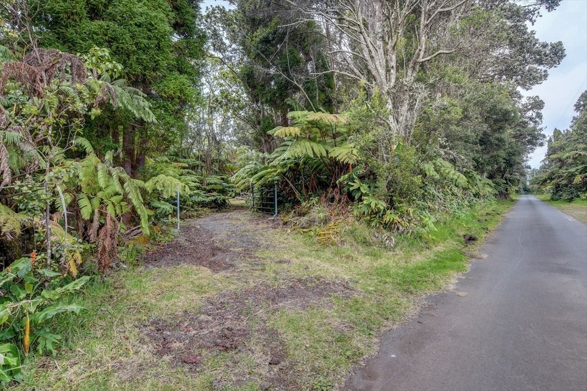 19-4269 Haunani Road Volcano, HI 96785 - Photo 8 of 18 Gallery Image 8