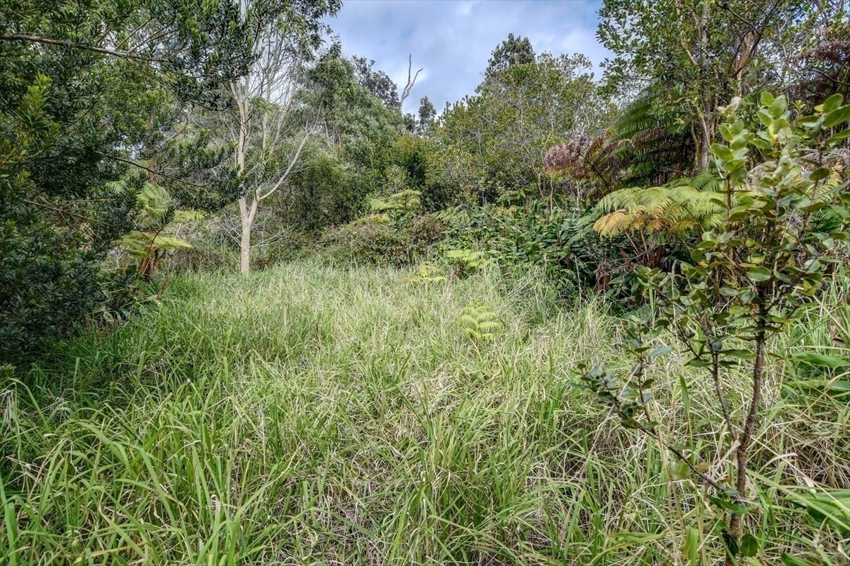 19-4269 Haunani Road Volcano, HI 96785 - Photo 10 of 18 Gallery Image 10