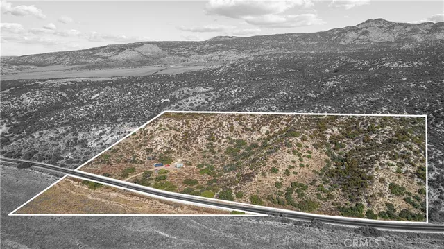 a view of a yard from a window