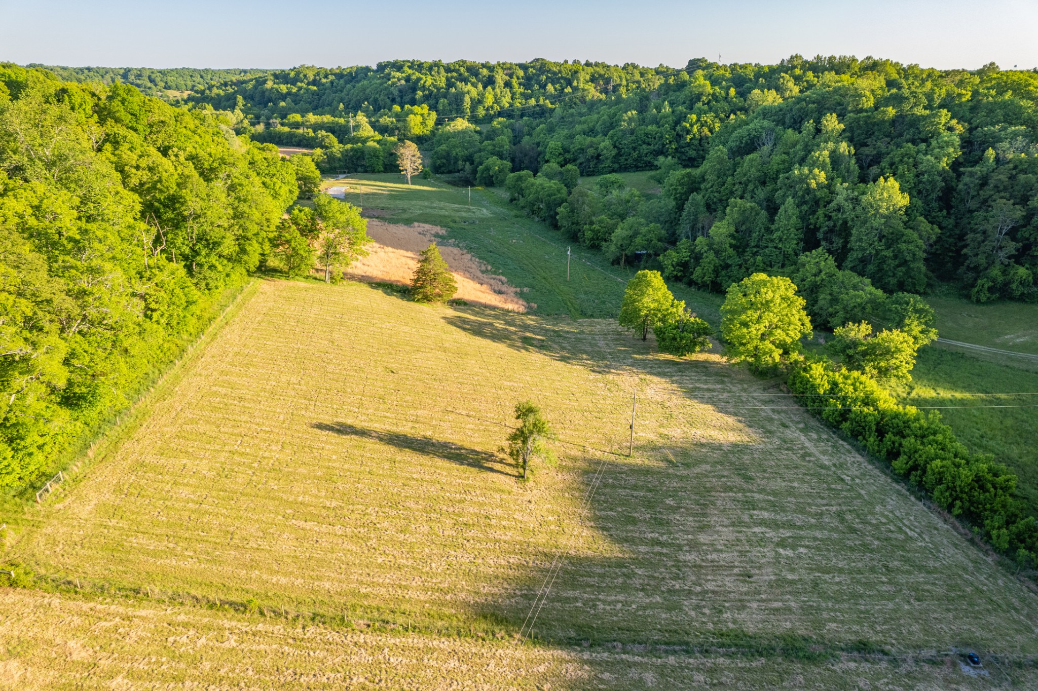 5 Young Road Pulaski, TN 38478 - Photo 1 of 12 a view of lake view