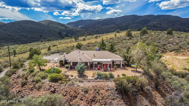 a view of a town with large trees