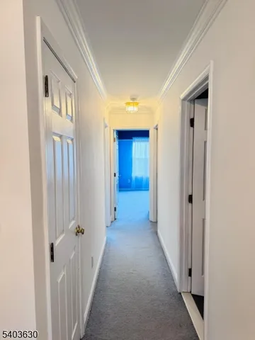 a view of a hallway with wooden floor and closet