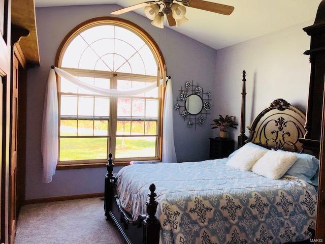 17813 Beaver Lake Road Fieldon, IL 62031 - Photo 22 of 34