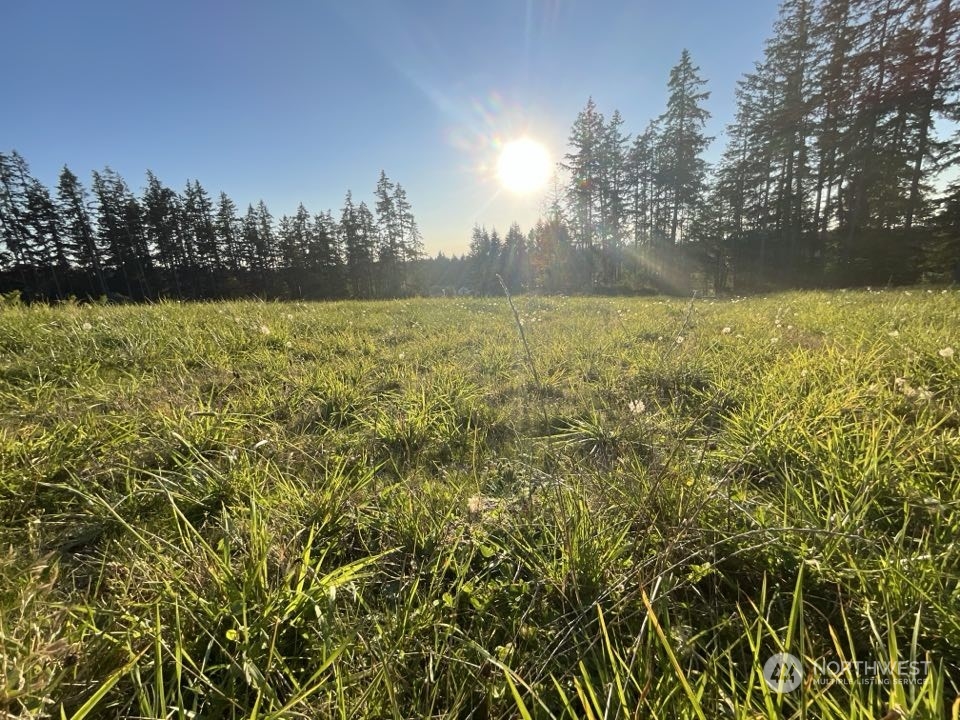 5777 Kramer Road Langley, WA 98260 - Photo 4 of 7 a view of yard with outdoor space and trees in the background