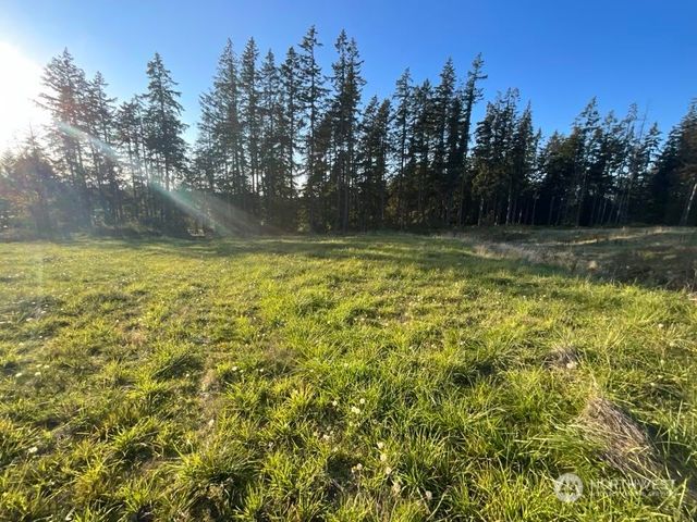 a view of a yard with a house