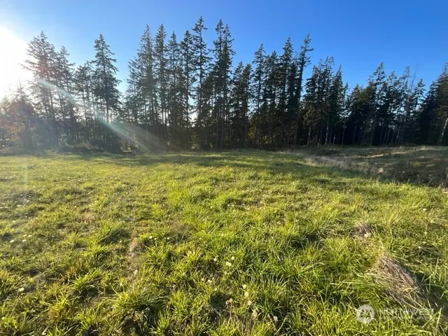 a view of a yard with a house