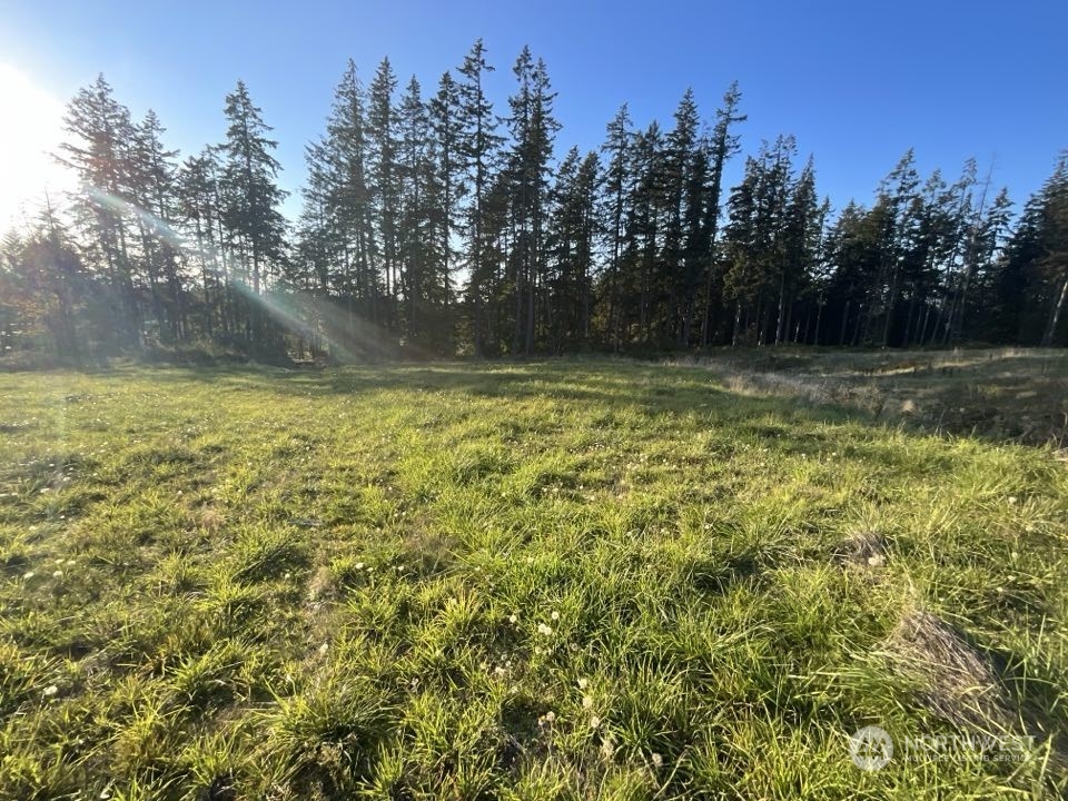 5777 Kramer Road Langley, WA 98260 - Photo 5 of 7 a view of a yard with a house