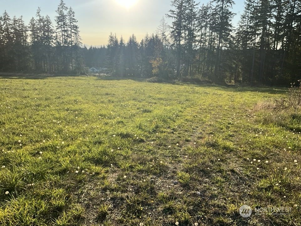 5777 Kramer Road Langley, WA 98260 - Photo 6 of 7 a view of a yard