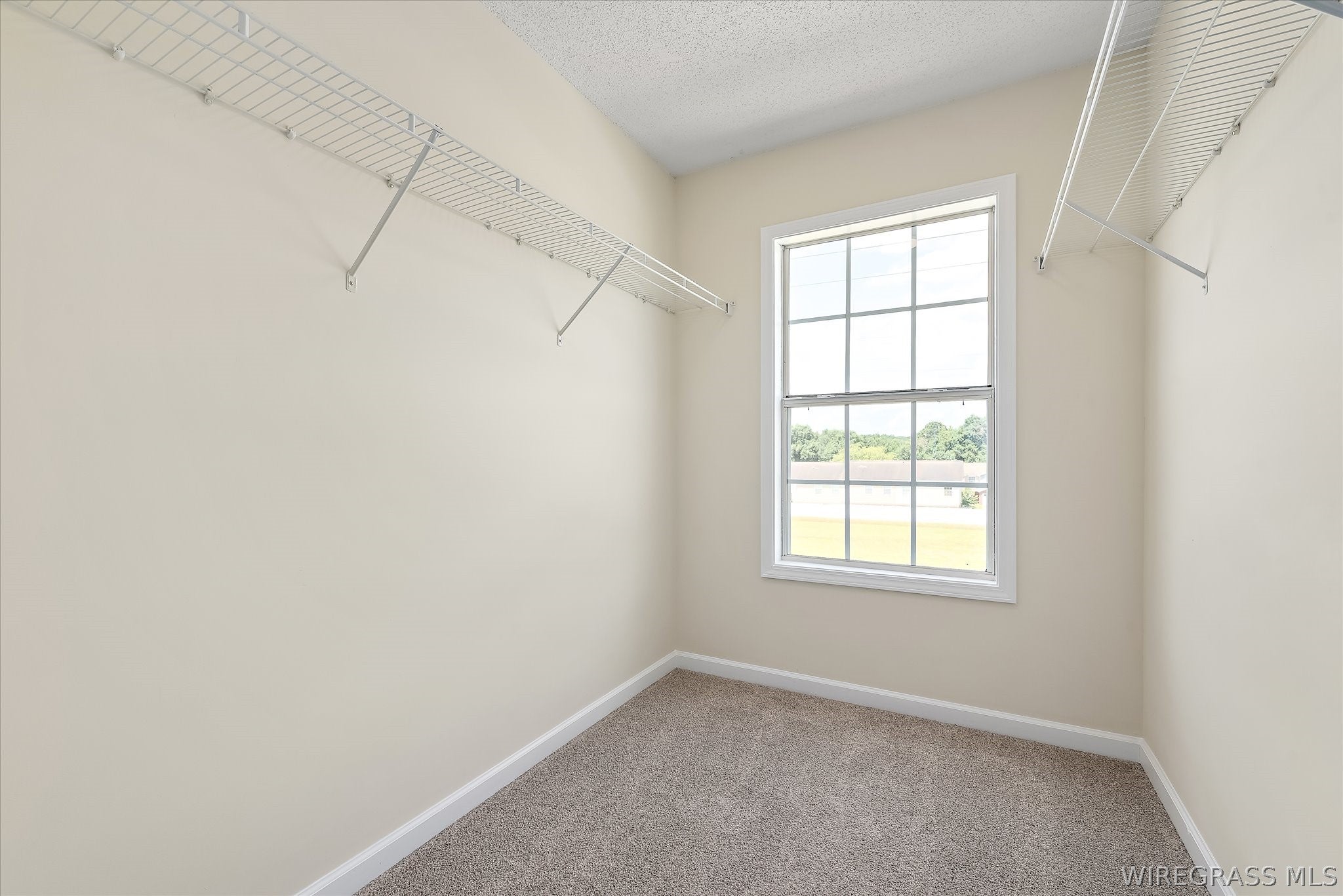 116 Baldwin Enterprise, AL 36330 - Photo 22 of 34 Gallery Image 22
