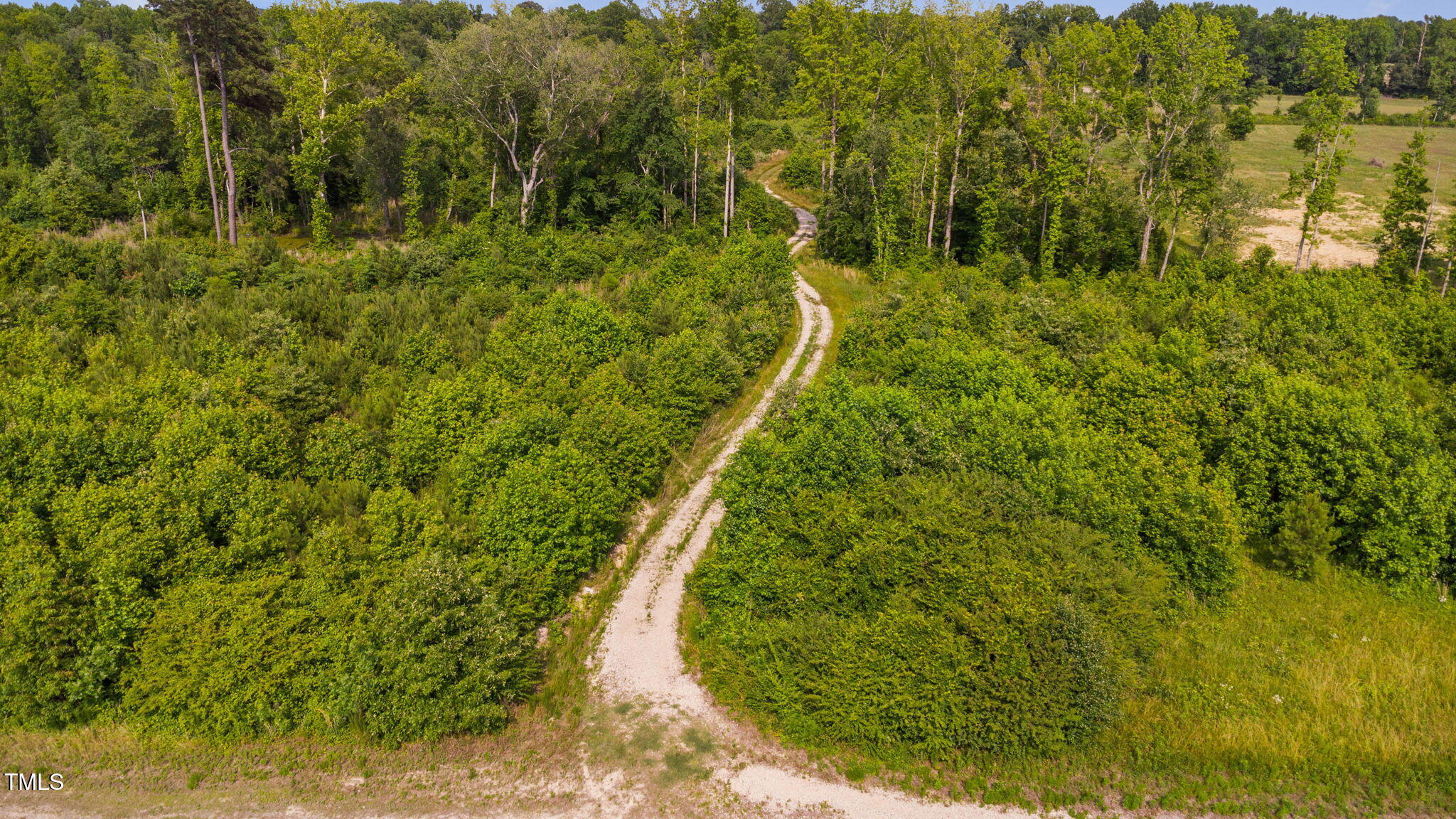1390 Nick Coley Road Whitakers, NC 27891 - Photo 7 of 37 4-web-or-mls-1390-nick-coley-rd