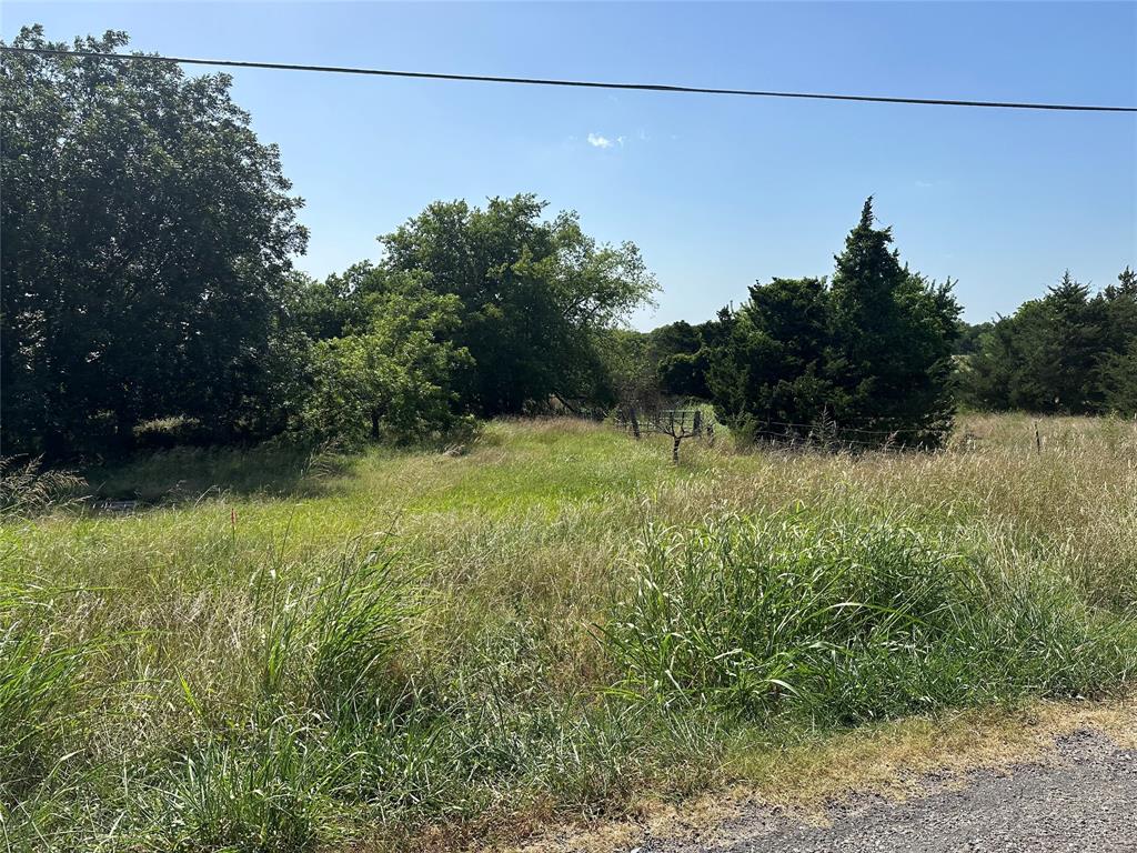 Lot 9 Webb Smith Road Sherman, TX 75090 - Photo 21 of 24 a view of a yard with a tree