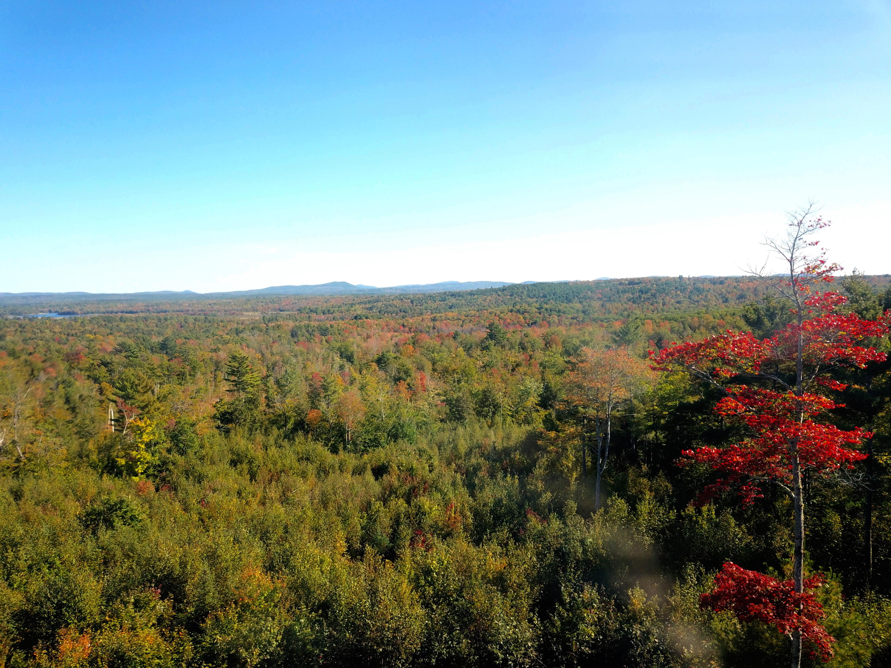 0 North Ridge Road, Unit LOT3 Montville, ME 04941 - Photo 3 of 10 DJI_0071