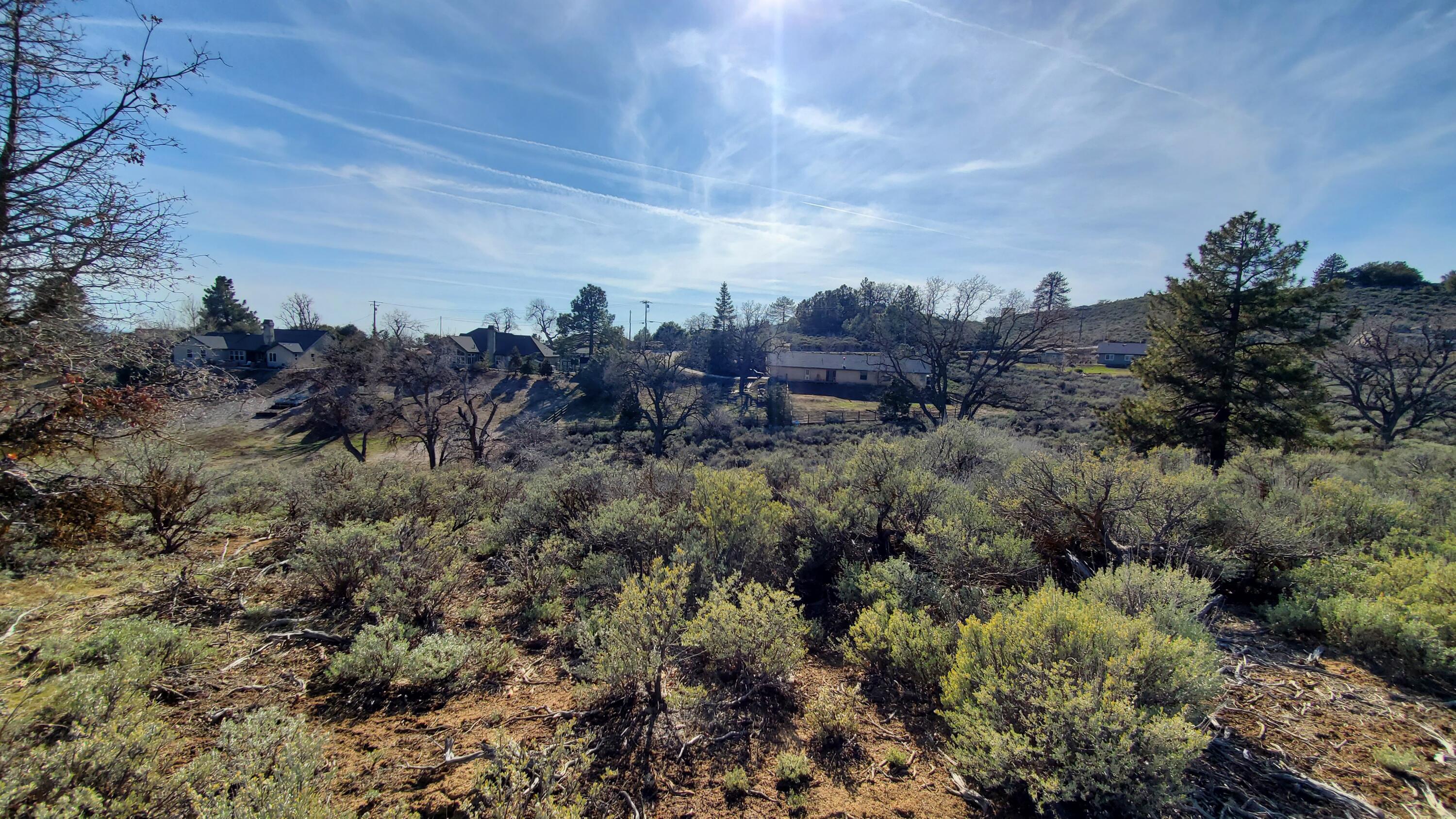 25041 Jacaranda Drive Tehachapi, CA 93561 - Photo 14 of 30 20230405_162144