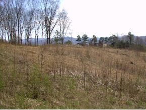 2 A Zeb Grindstaff Road Elizabethton, TN 37643 - Photo 1 of 1 Photo 1