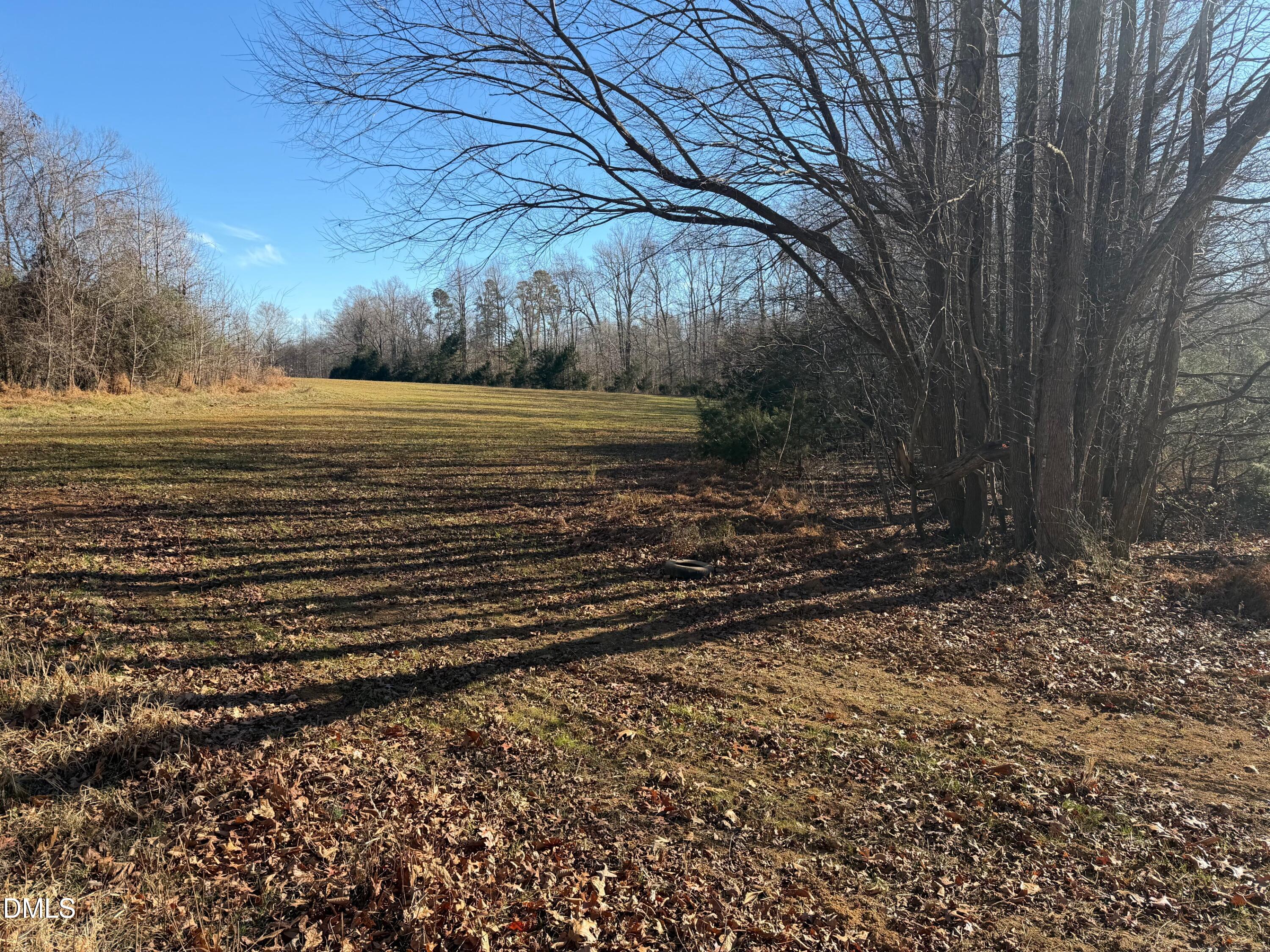 475 Lewis Winstead Lp Road Roxboro, NC 27574 - Photo 2 of 17