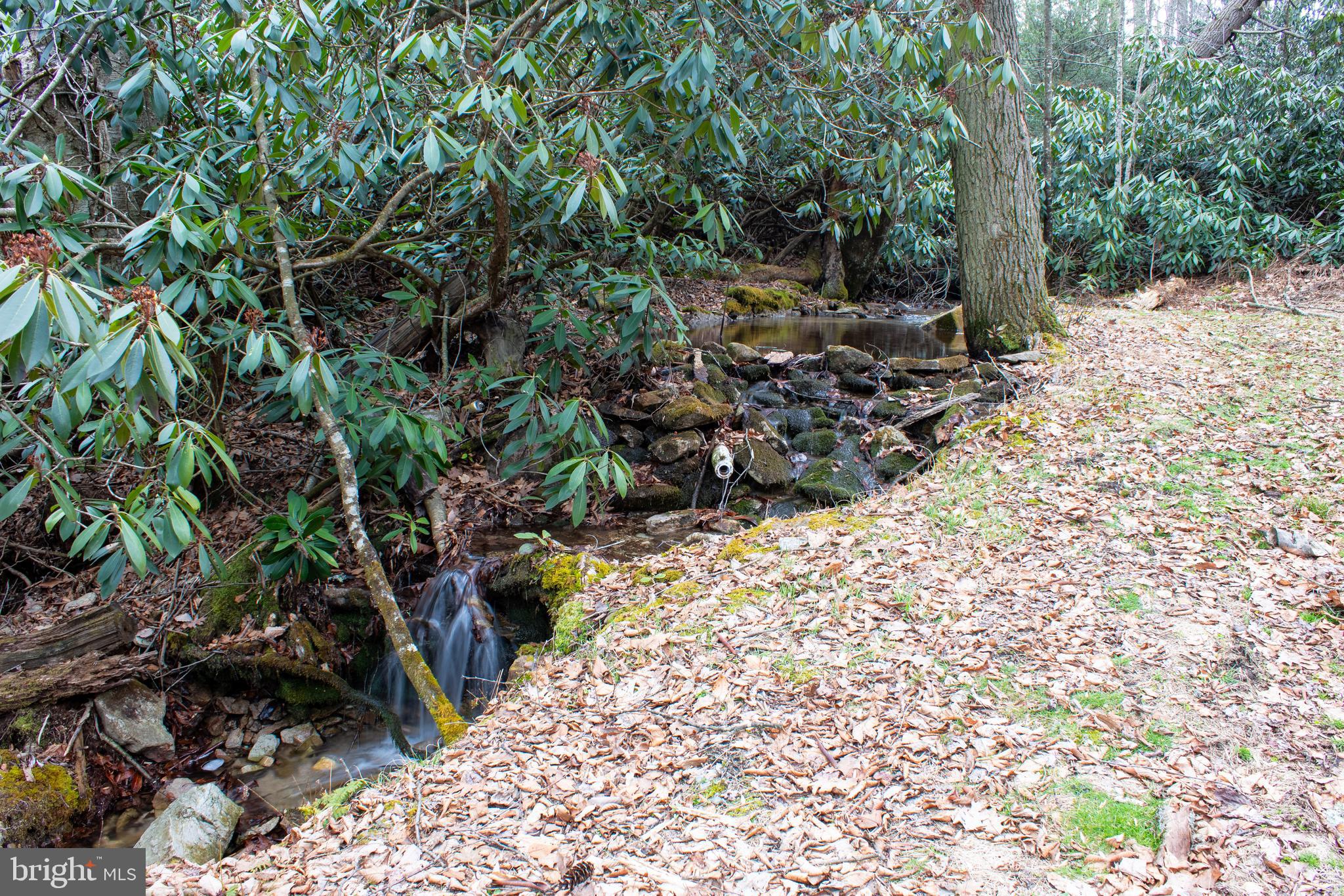 0 Means Hollow Road Shippensburg, PA 17257 - Photo 2 of 52 a view of a yard with plants and large trees