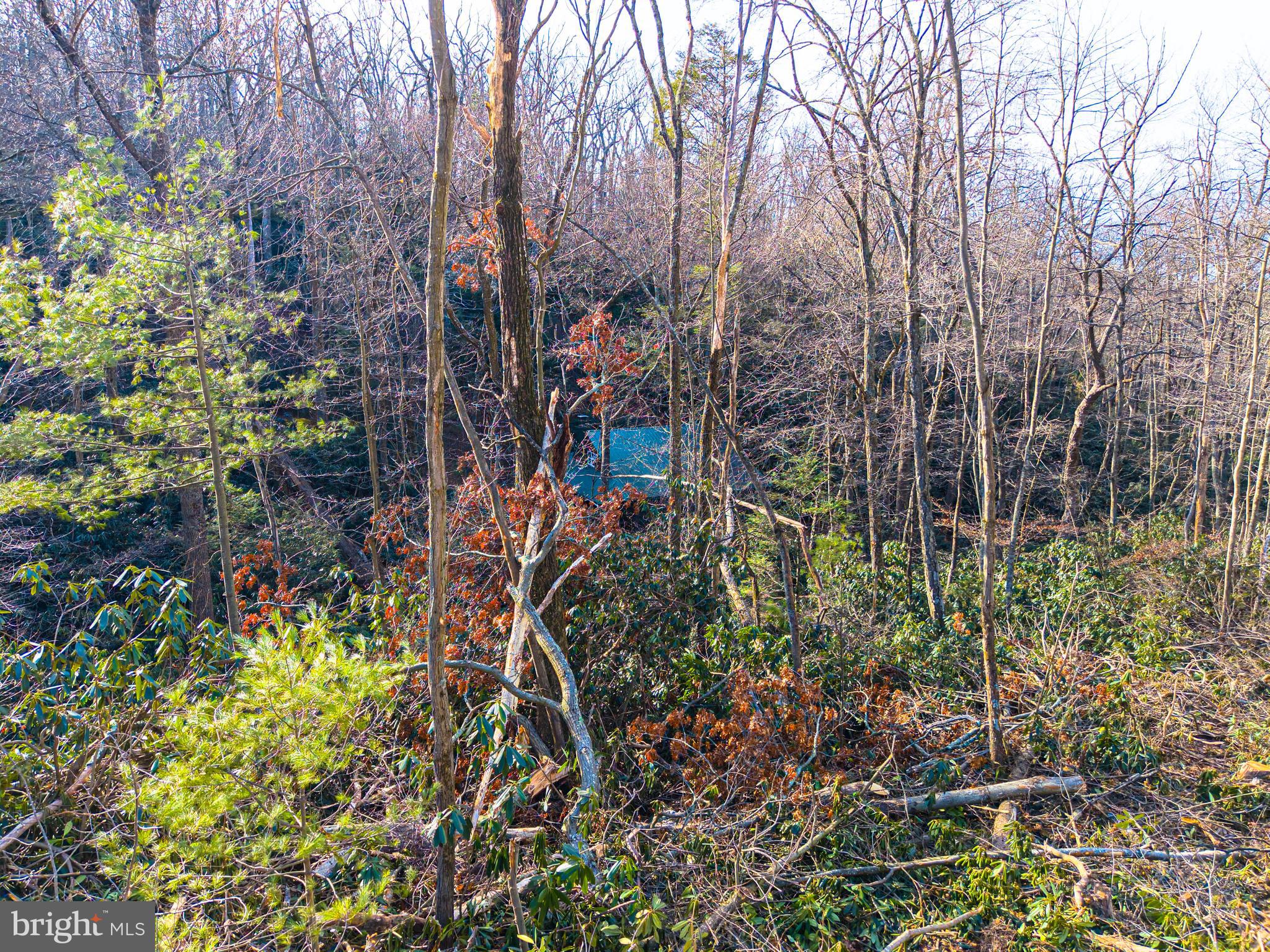 0 Means Hollow Road Shippensburg, PA 17257 - Photo 25 of 52 a backyard of a building with lots of green space