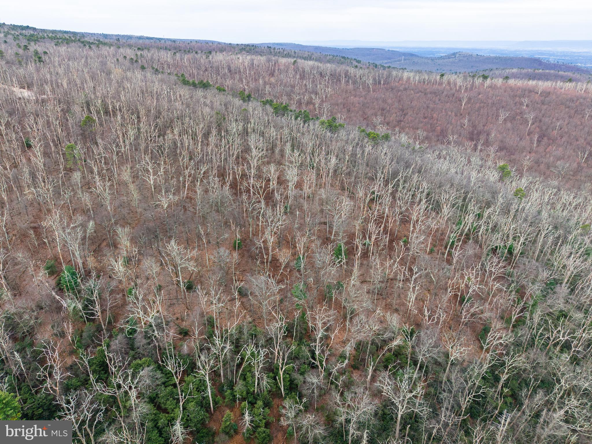 0 Means Hollow Road Shippensburg, PA 17257 - Photo 28 of 52 a view of a lush green field