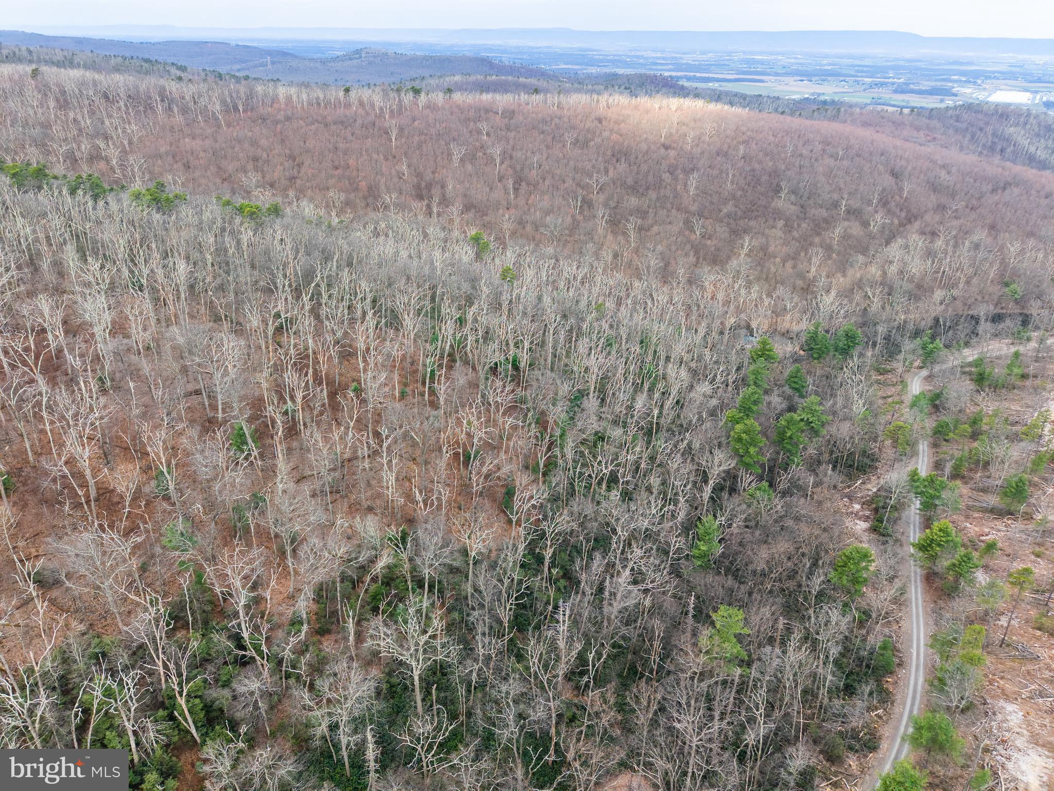 0 Means Hollow Road Shippensburg, PA 17257 - Photo 29 of 52 a view of an outdoor space and a lake view