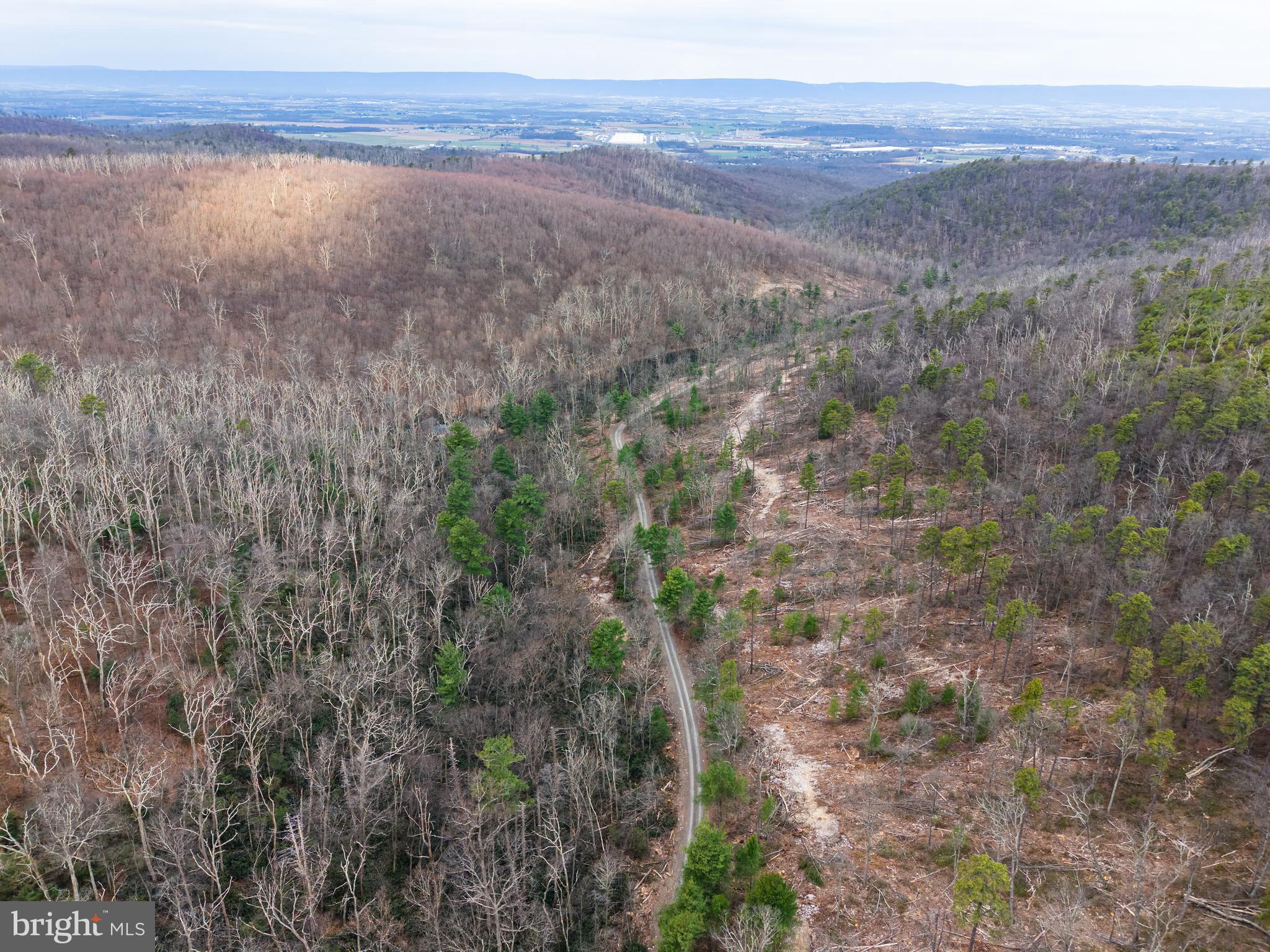 0 Means Hollow Road Shippensburg, PA 17257 - Photo 30 of 52 a view of a yard with an outdoor space