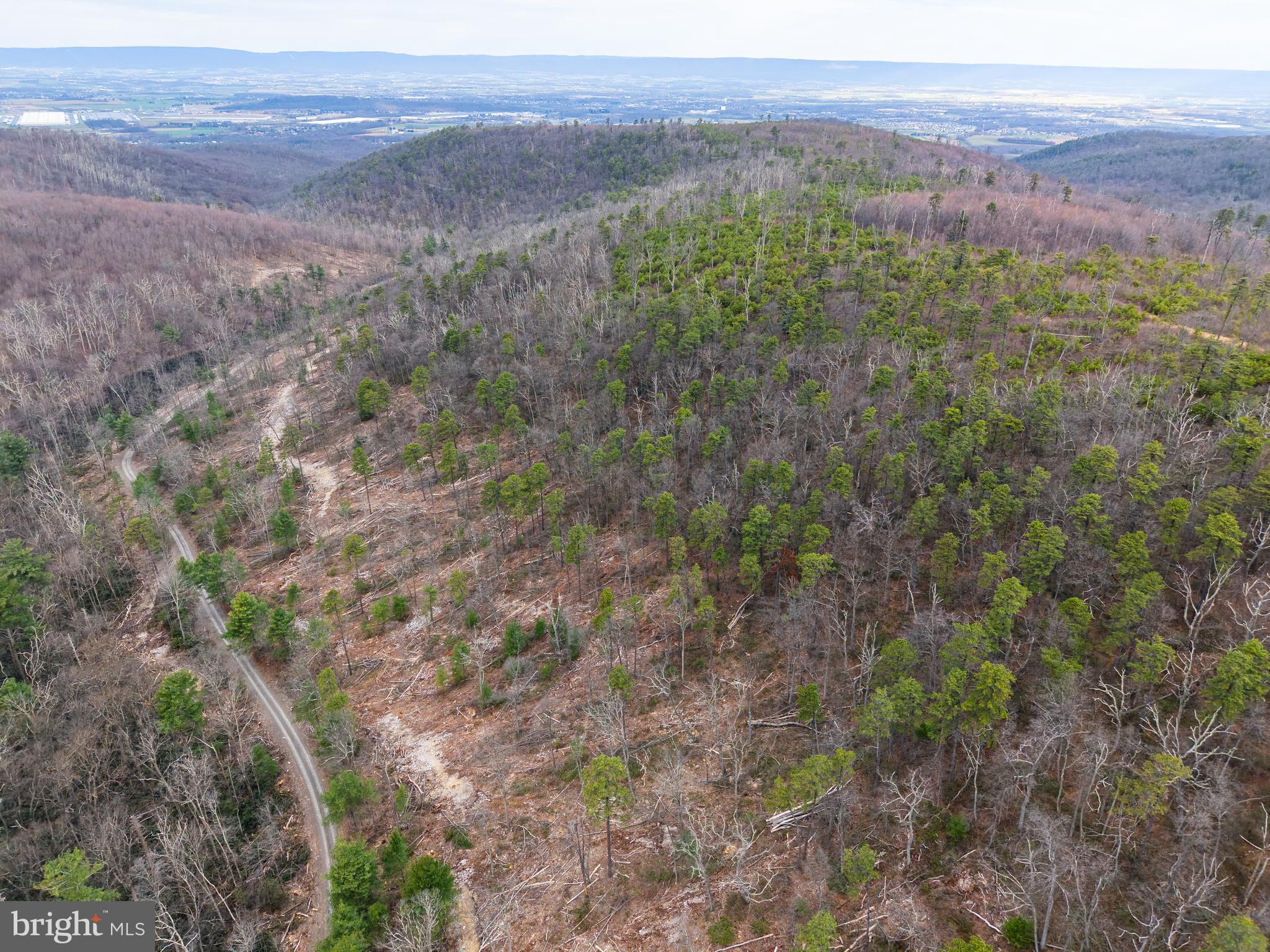 0 Means Hollow Road Shippensburg, PA 17257 - Photo 31 of 52 a view of a lush green forest with trees and some houses