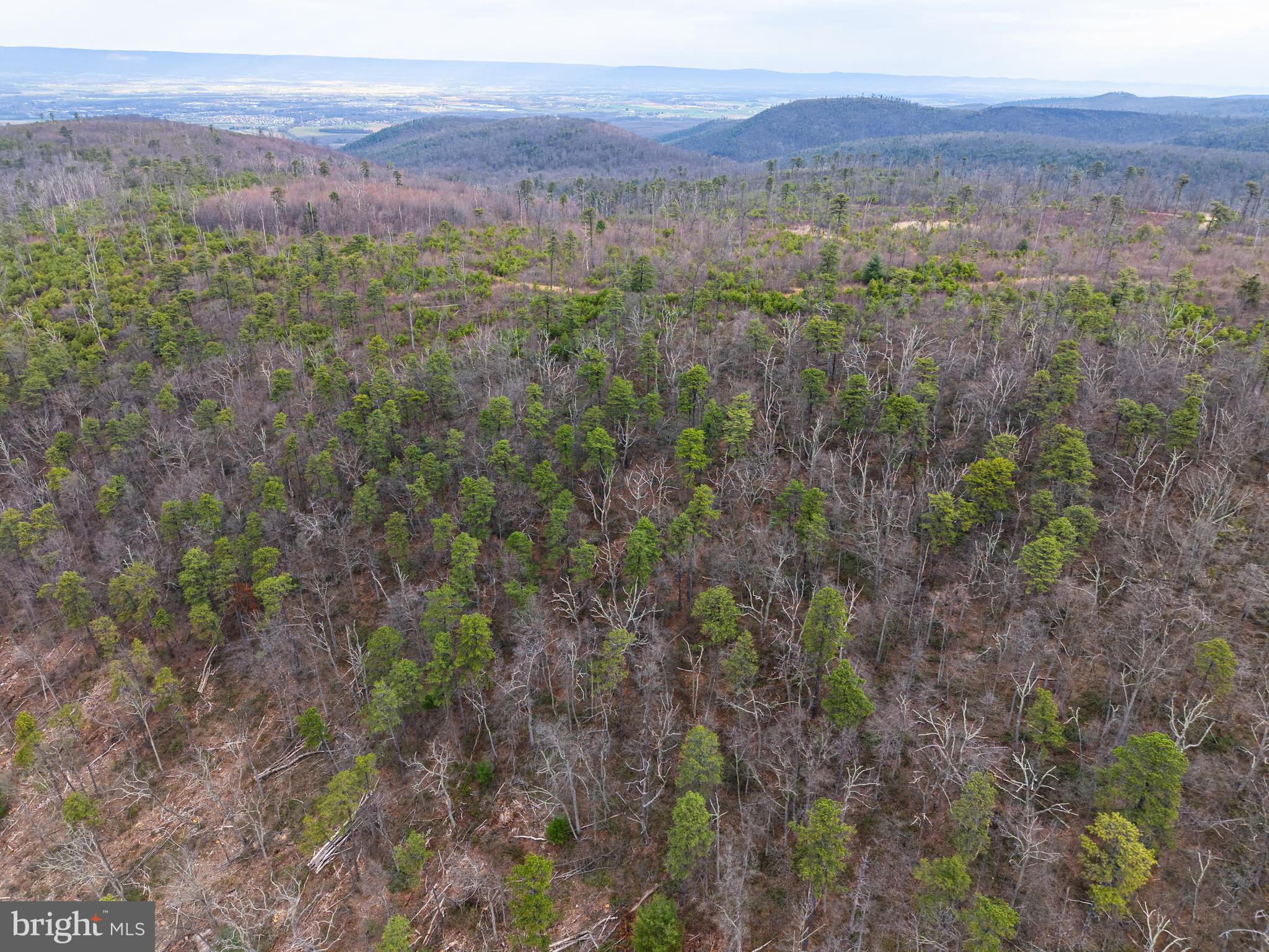 0 Means Hollow Road Shippensburg, PA 17257 - Photo 32 of 52 a view of a lush green hillside and a mountain view
