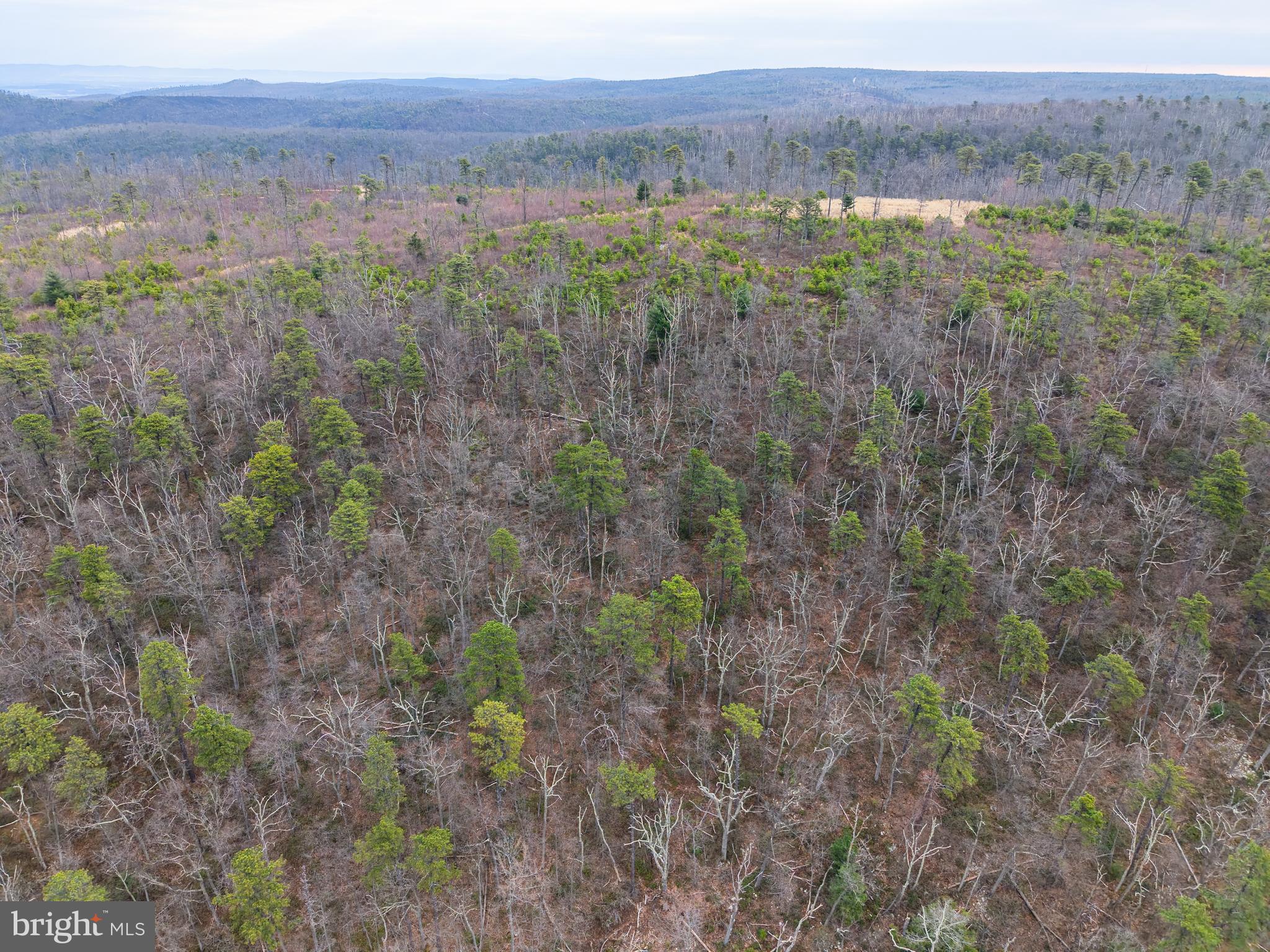 0 Means Hollow Road Shippensburg, PA 17257 - Photo 33 of 52