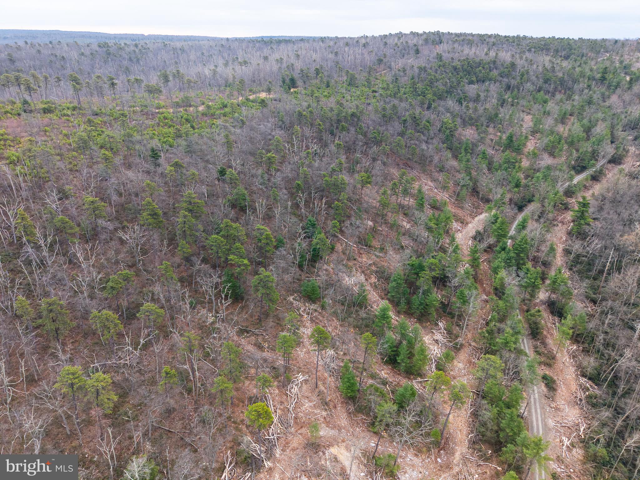 0 Means Hollow Road Shippensburg, PA 17257 - Photo 34 of 52 a view of a dry field with trees