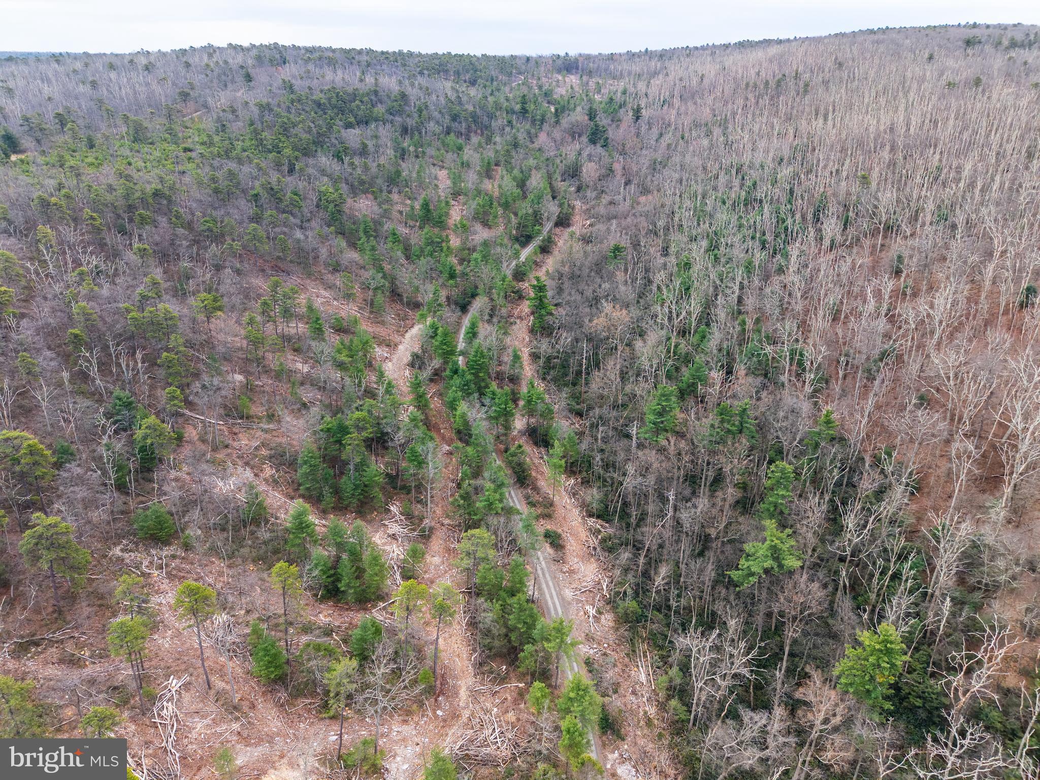 0 Means Hollow Road Shippensburg, PA 17257 - Photo 35 of 52