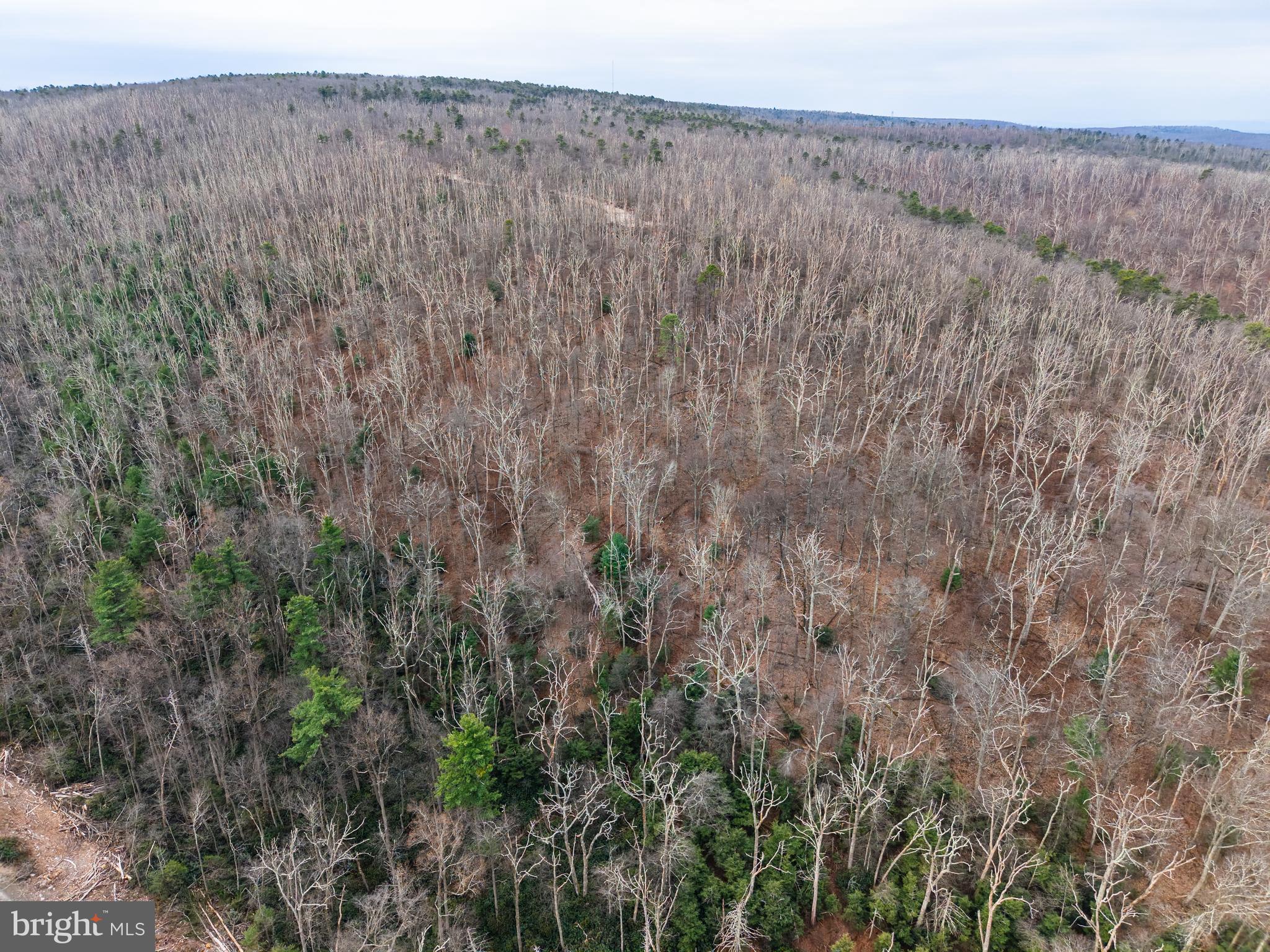 0 Means Hollow Road Shippensburg, PA 17257 - Photo 36 of 52 a view of a dry field with trees in the background