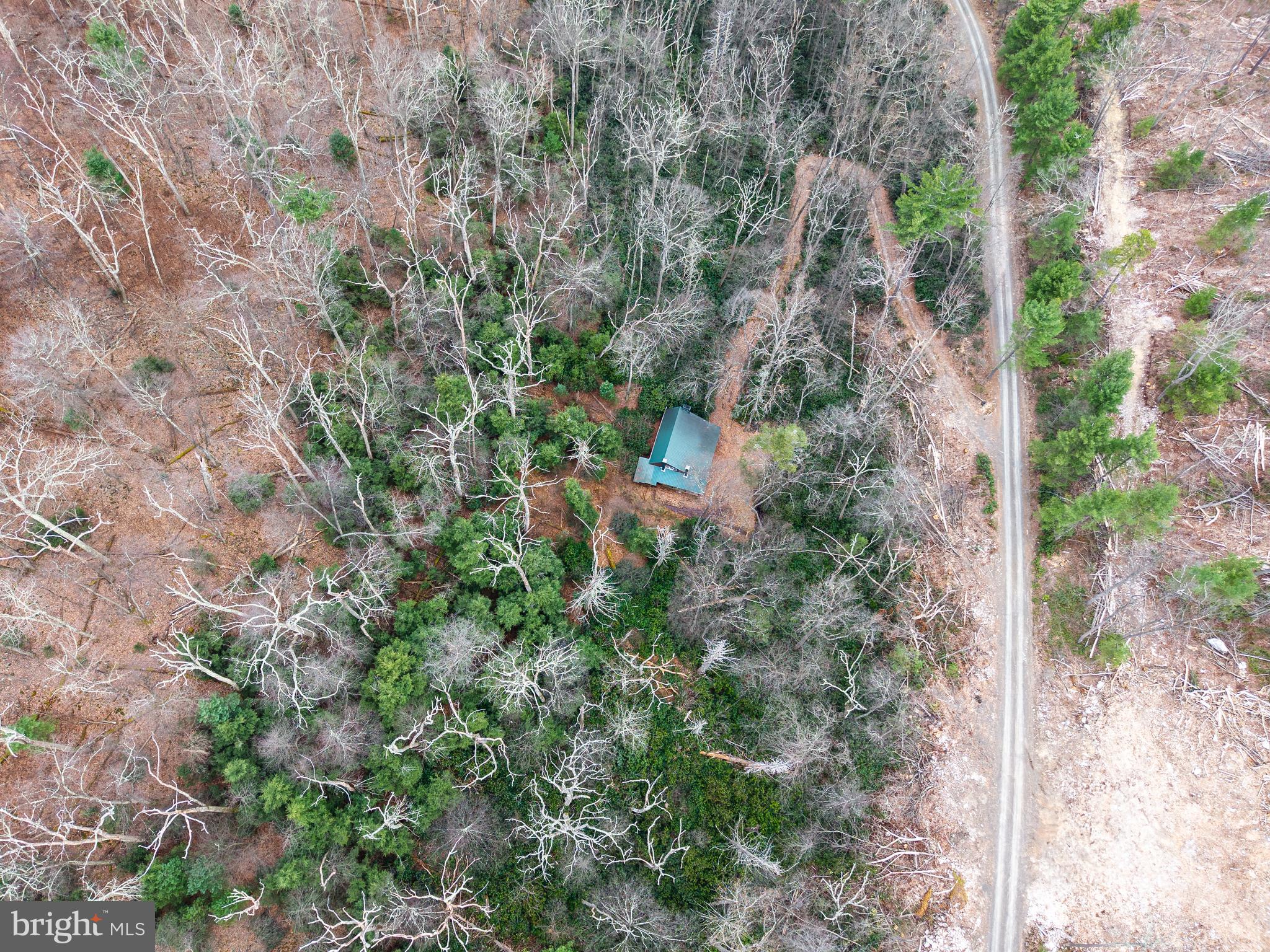 0 Means Hollow Road Shippensburg, PA 17257 - Photo 37 of 52 a view of a yard with plants and trees