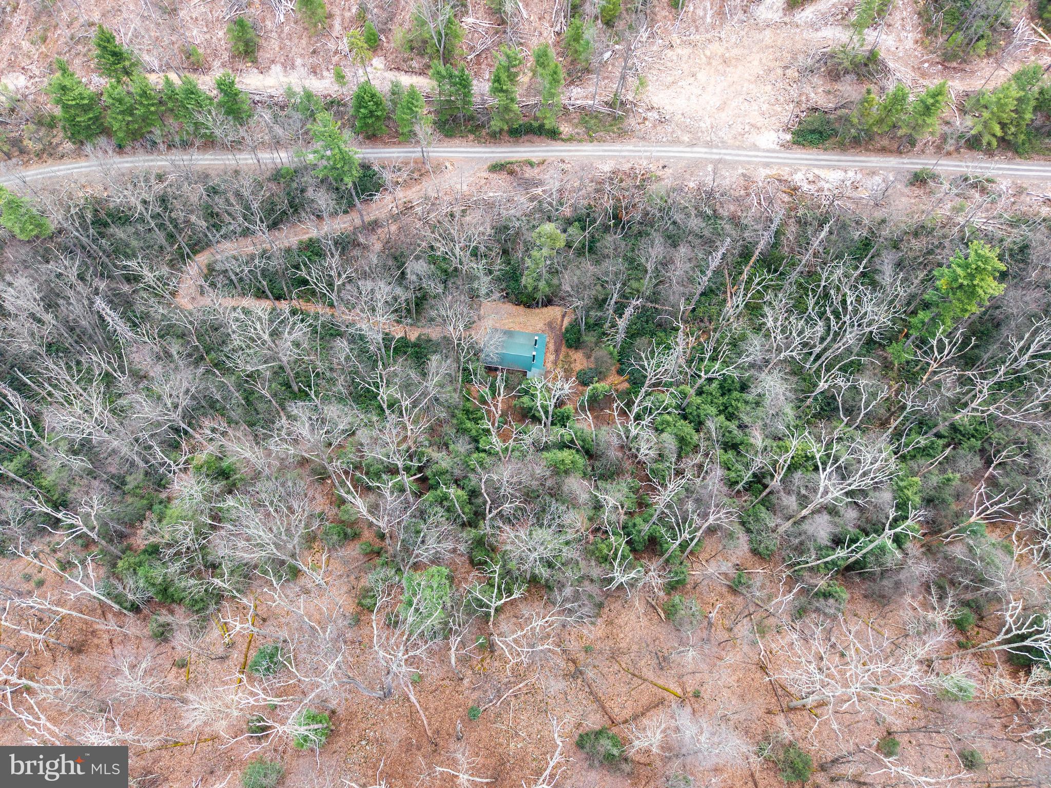 0 Means Hollow Road Shippensburg, PA 17257 - Photo 39 of 52 a view of a yard with a tree
