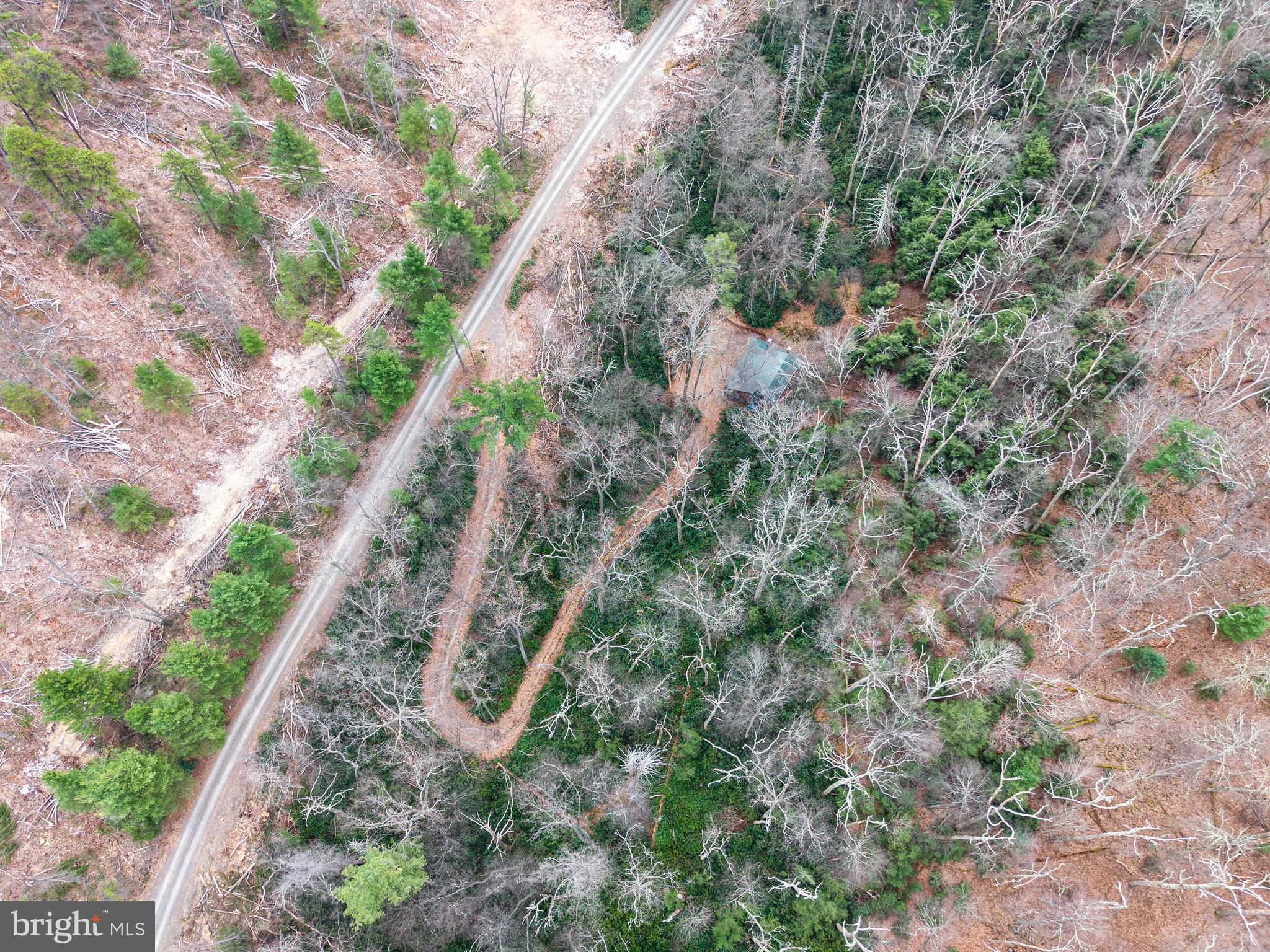 0 Means Hollow Road Shippensburg, PA 17257 - Photo 40 of 52 a view of a yard with a tree
