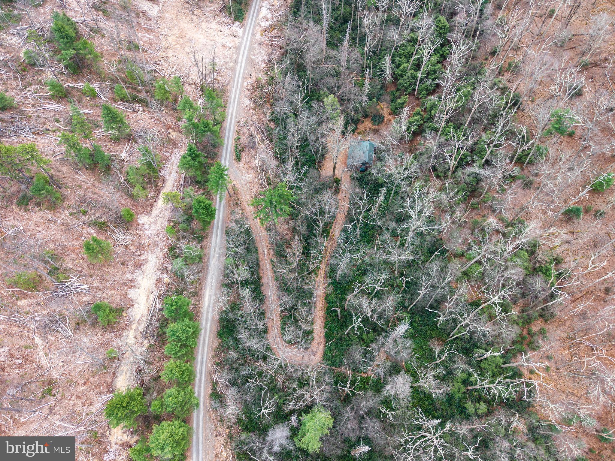 0 Means Hollow Road Shippensburg, PA 17257 - Photo 41 of 52 a view of a forest with a tree