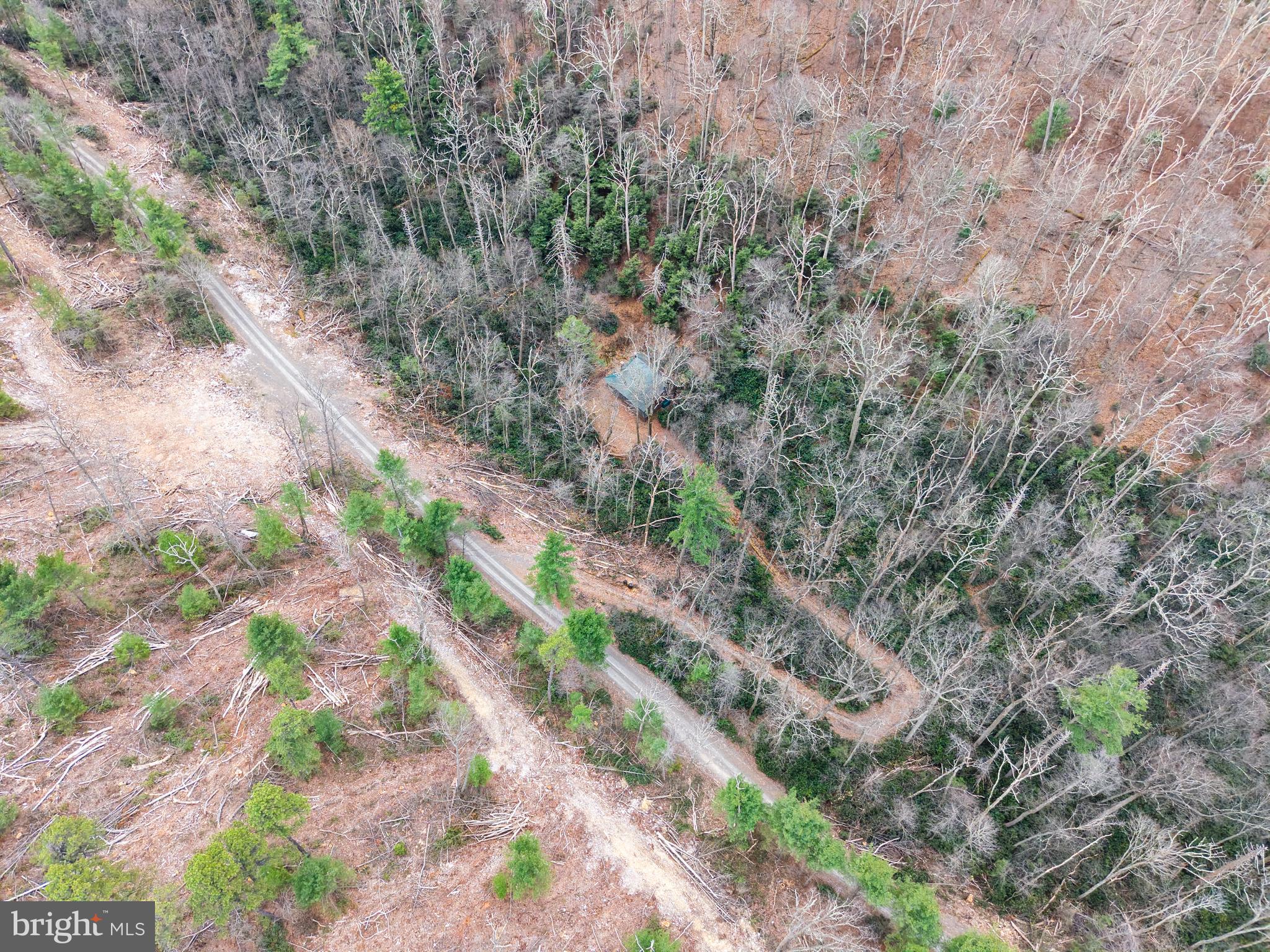 0 Means Hollow Road Shippensburg, PA 17257 - Photo 42 of 52 a view of a forest with trees in the background